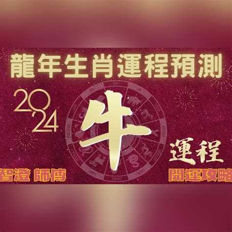 甲辰年好嗎|2024甲辰龍年 十二生肖開運指南 (下) 